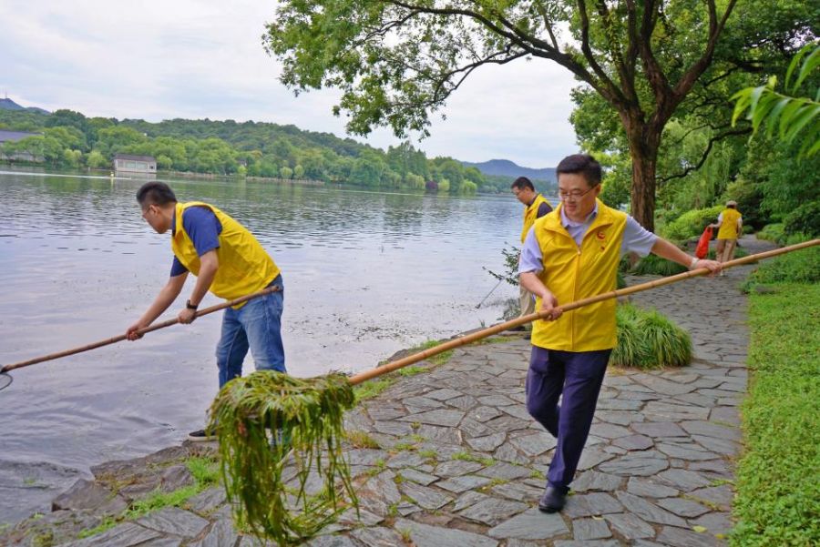 16261643361476136MSe.jpg 2.jpg